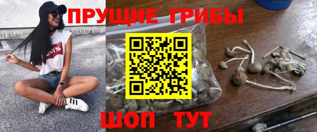 Лесосибирск  Галлюциногенные грибы ЛСД  Вход с VPN 