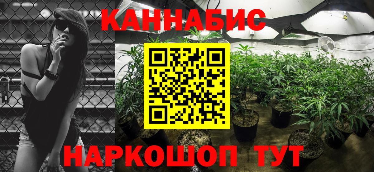 Лесосибирск  Конопля семена  Шишки марихуана индика  Вход с VPN 